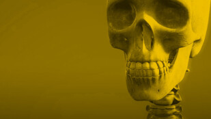 Czarno żółte zdjęcie czaszki człowieka
