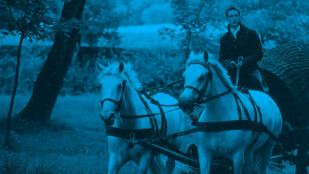 Kolorowy fotos z filmu. Mężczyzna na bryczce. Trzyma lejce. Bryczkę prowadzą dwa białe konie.